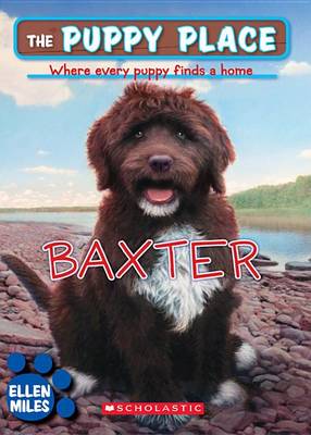 Book cover for Baxter