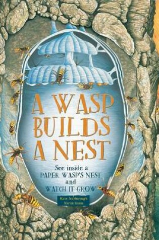 Cover of A Wasp Builds a Nest