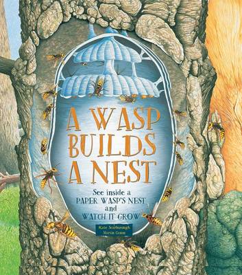 Book cover for A Wasp Builds a Nest