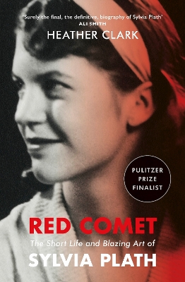 Book cover for Red Comet