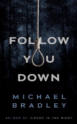 Book cover for Follow You Down