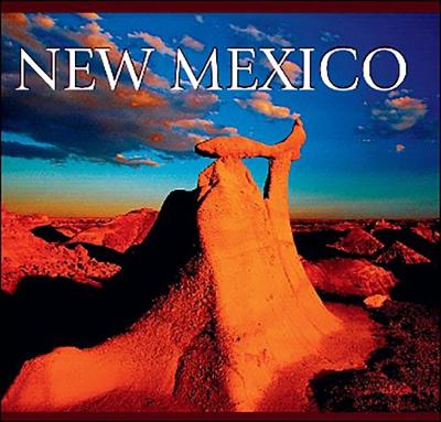 Book cover for New Mexico