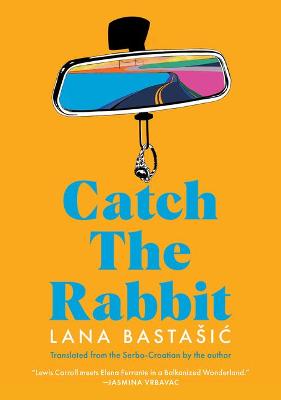 Book cover for Catch the Rabbit