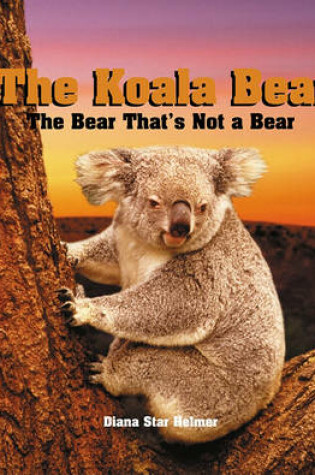 Cover of Koala Bear, the