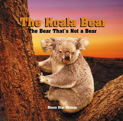 Book cover for Koala Bear, the