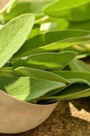 Cover of Freshly Harvested Sage in a Ladle Journal