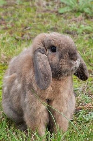 Cover of Lop Eared Bunny Rabbit Journal