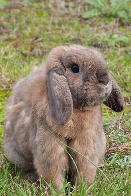 Book cover for Lop Eared Bunny Rabbit Journal