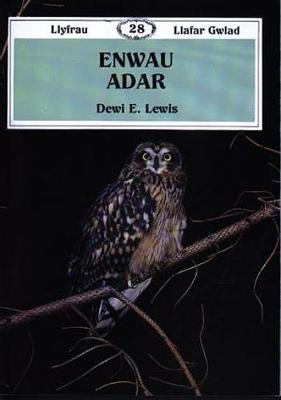 Book cover for Llyfrau Llafar Gwlad:28. Enwau Adar