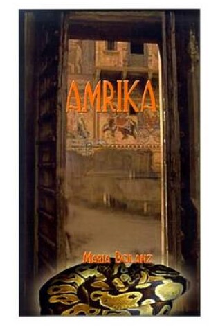 Cover of Amrika