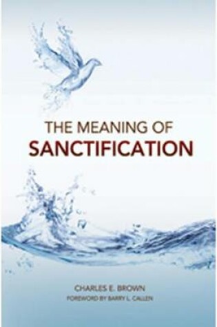 Cover of The Meaning of Sanctification