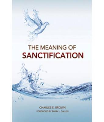 Cover of The Meaning of Sanctification