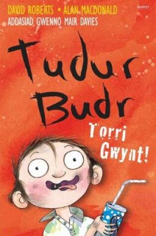 Cover of Tudur Budr: Torri Gwynt!
