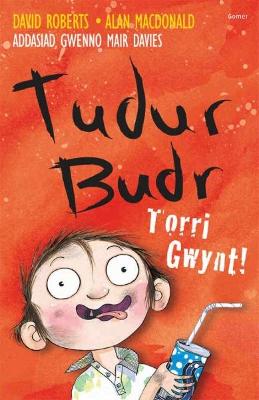 Book cover for Tudur Budr: Torri Gwynt!