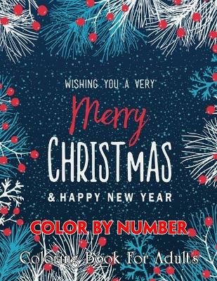 Book cover for Merry Christmas & Happy New Year Color By Number Coloring Book For Adults