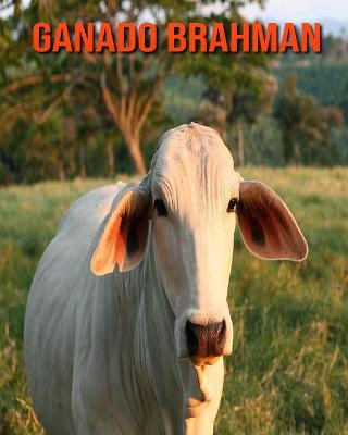 Book cover for Ganado brahman