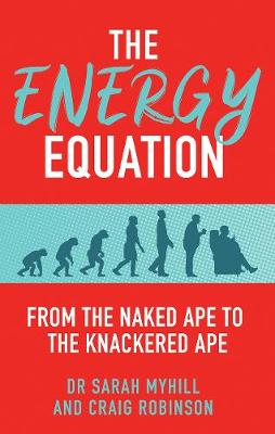 Book cover for The Energy Equation