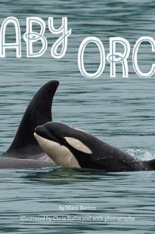 Cover of Baby Orca