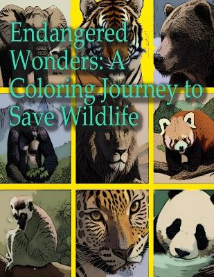 Book cover for Endangered Wonders