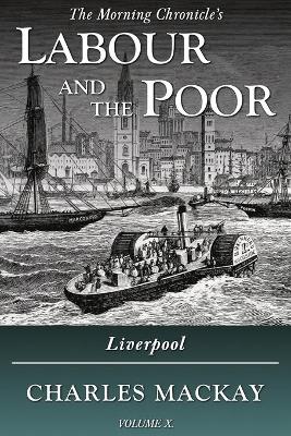 Book cover for Labour and the Poor Volume X