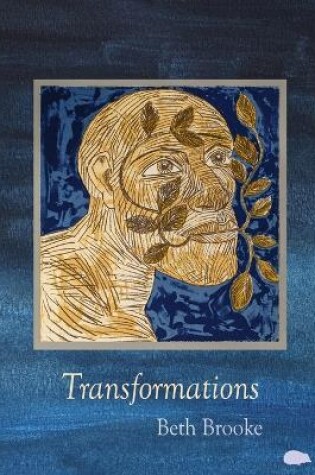 Cover of Transformations