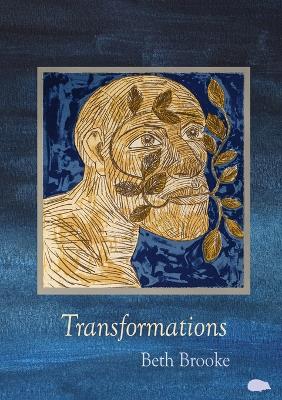 Book cover for Transformations