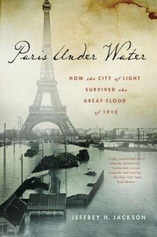 Cover of Paris Under Water