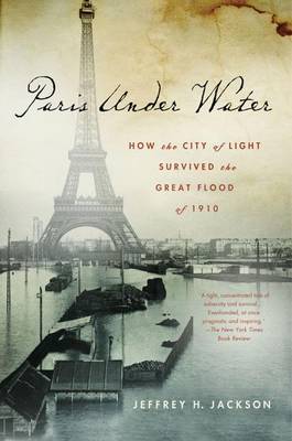 Book cover for Paris Under Water