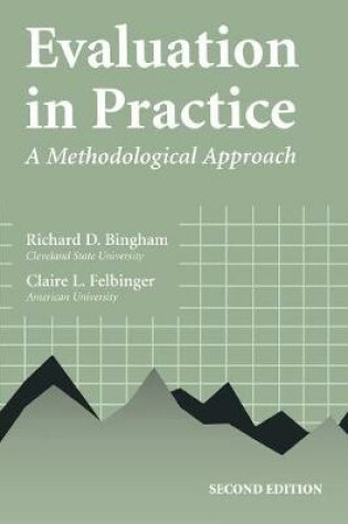 Cover of Evaluation in Practice