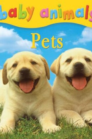 Cover of Baby Animals: Pets