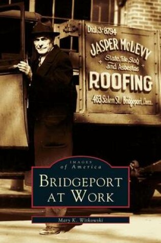 Cover of Bridgeport at Work