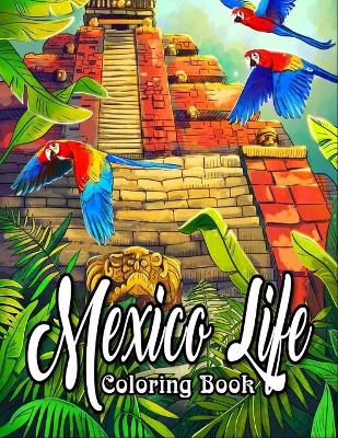 Book cover for Mexico Life Coloring Book