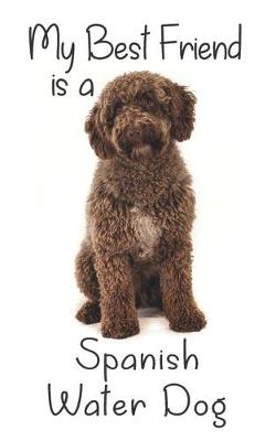 Book cover for My best Friend is a Spanish Water Dog