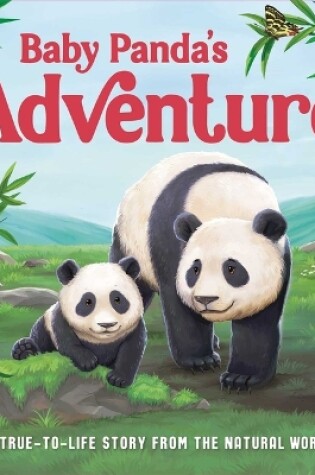 Cover of Baby Panda's Adventure