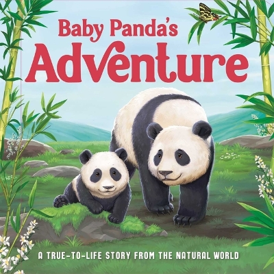 Book cover for Baby Panda's Adventure