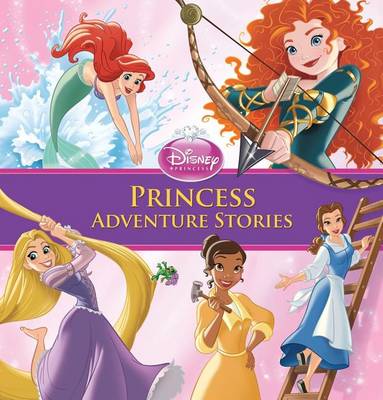Book cover for Princess Adventure Stories Special Edition