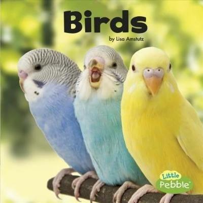Book cover for Birds (Our Pets)