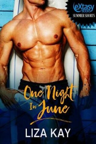 Cover of One Night in June