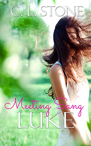 Book cover for Meeting Sang: Luke