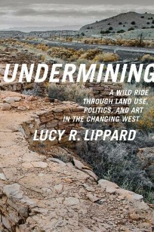 Cover of Undermining