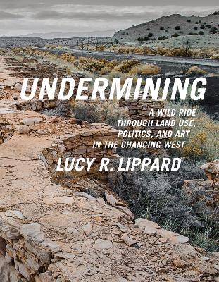 Book cover for Undermining