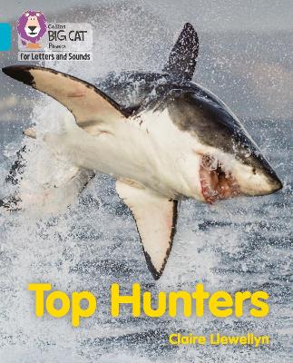 Book cover for Top Hunters
