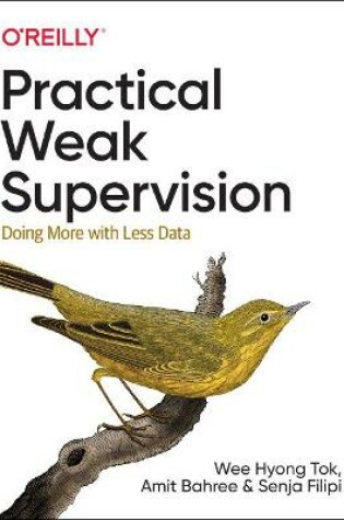 Cover of Practical Weak Supervision