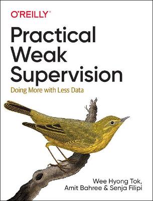 Book cover for Practical Weak Supervision