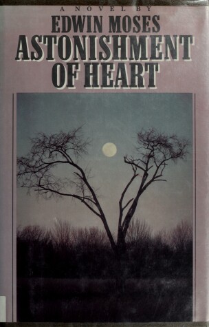Book cover for Astonishment of Heart
