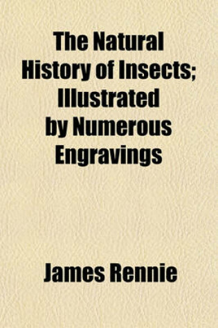 Cover of The Natural History of Insects; Illustrated by Numerous Engravings