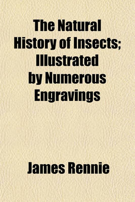 Book cover for The Natural History of Insects; Illustrated by Numerous Engravings