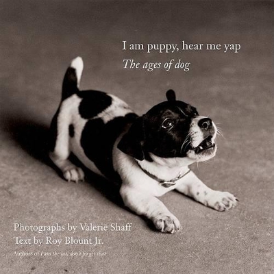 Book cover for I Am Puppy, Hear Me Yap