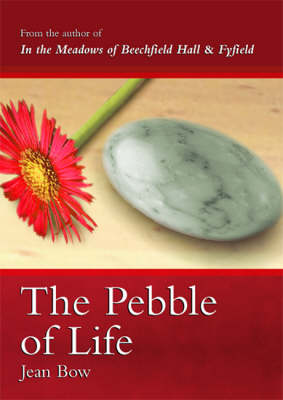 Book cover for The Pebble of Life