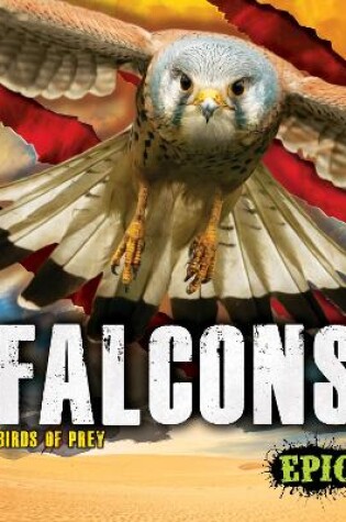 Cover of Falcons